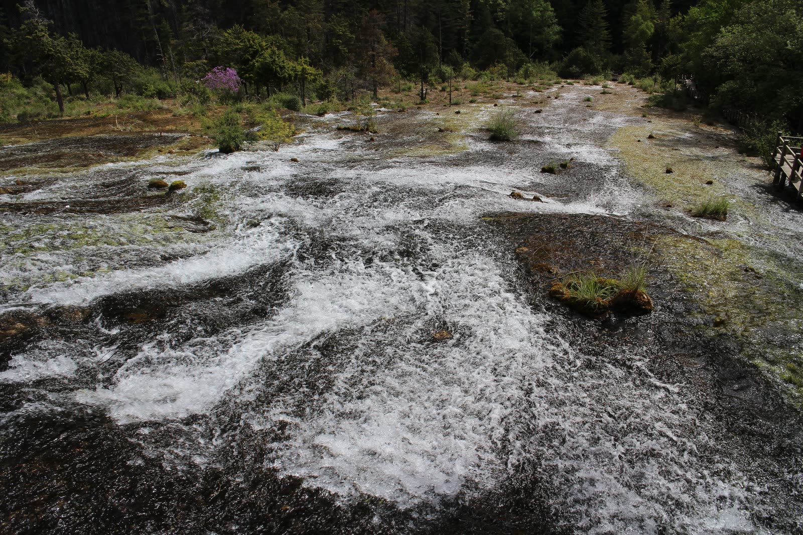 Jiuzhaigou highlights: Five-Flower Lake, Long Lake, Five-Color Pond and two great waterfalls